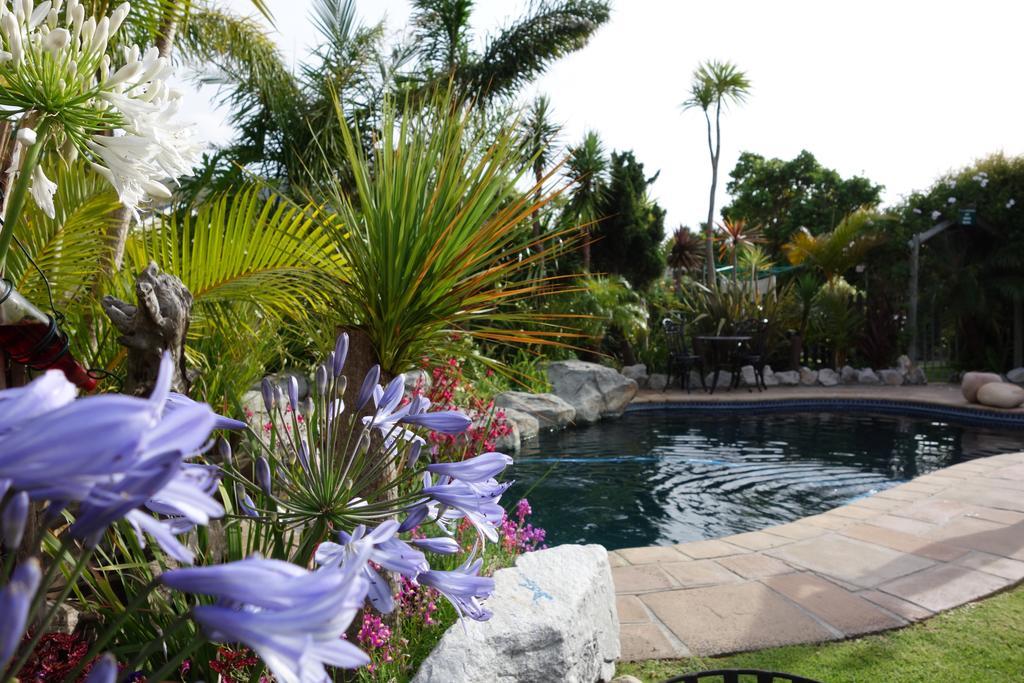Villachad Guesthouse Kleinmond Exterior foto